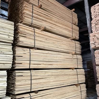 imgi_16_493317216_1293034979494192_2742324753330634636_n