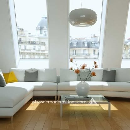 imgi_55_123543325_3813218738711824_758047980736166724_n