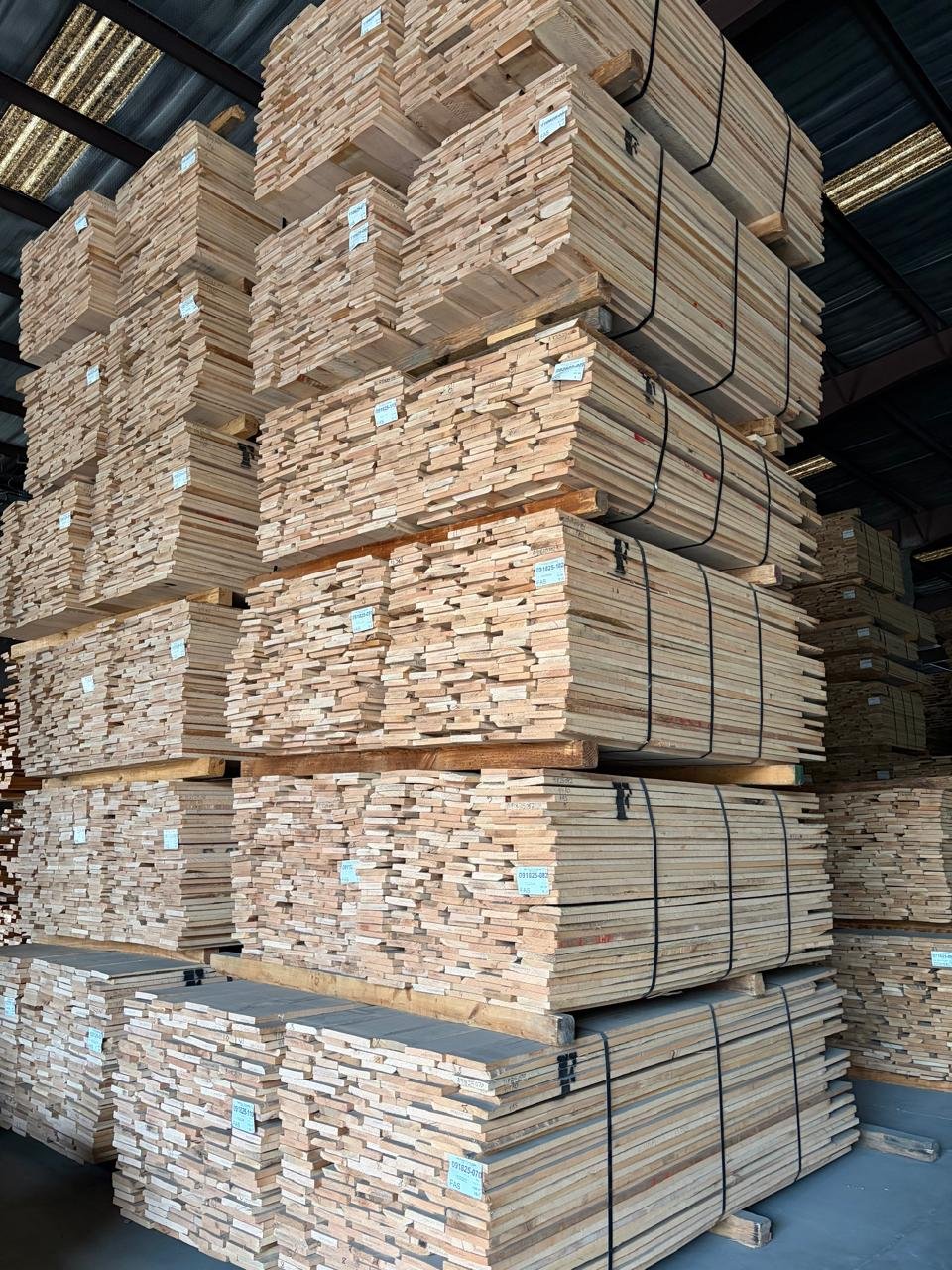 WhatsApp Image 2026-03-01 at 6.58.28 PM (1)