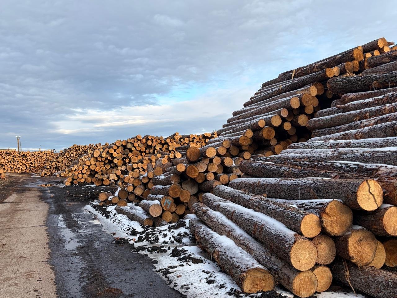 WhatsApp Image 2026-03-01 at 6.58.33 PM (1)