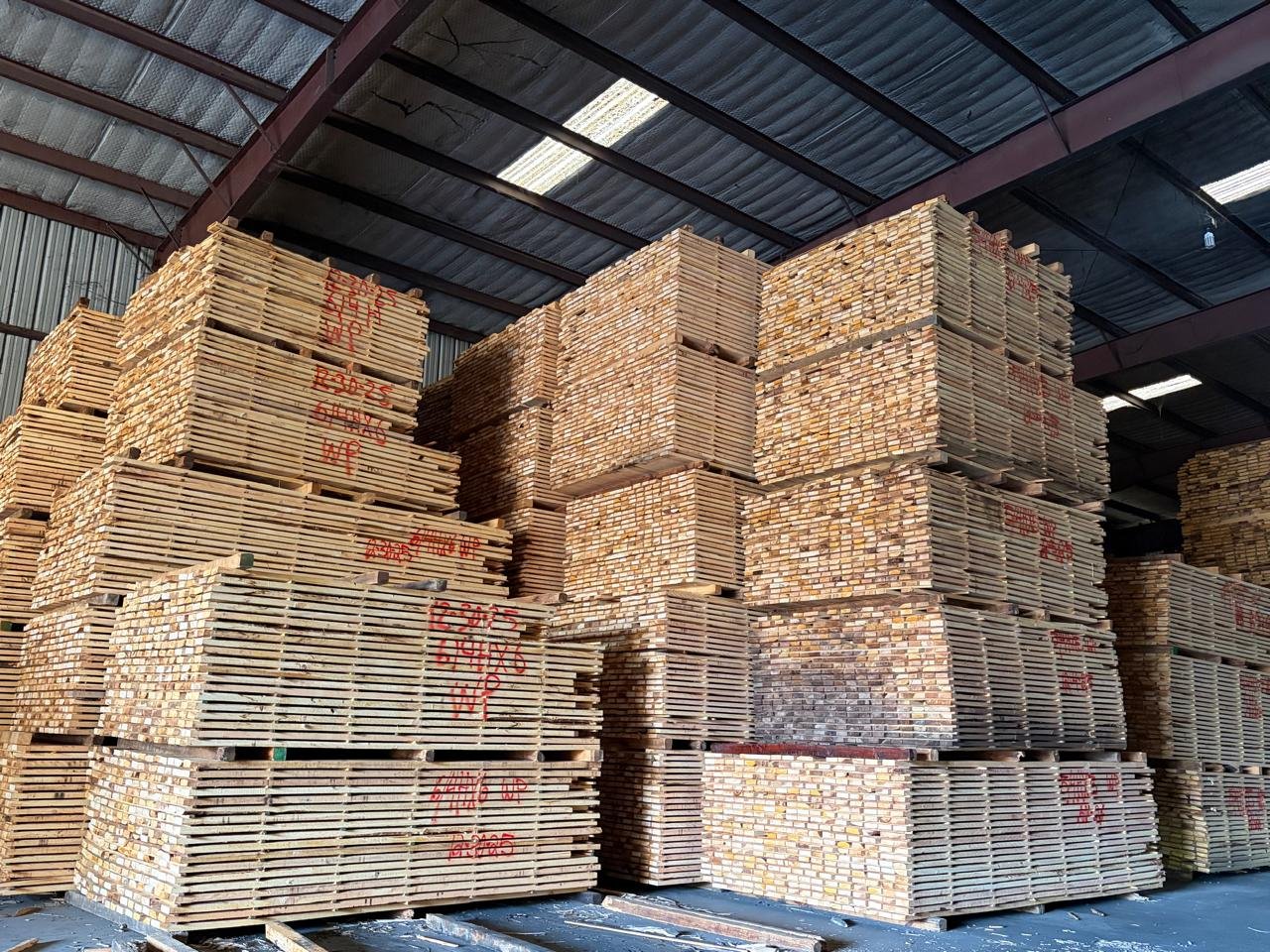 WhatsApp Image 2026-03-01 at 6.58.43 PM (4)