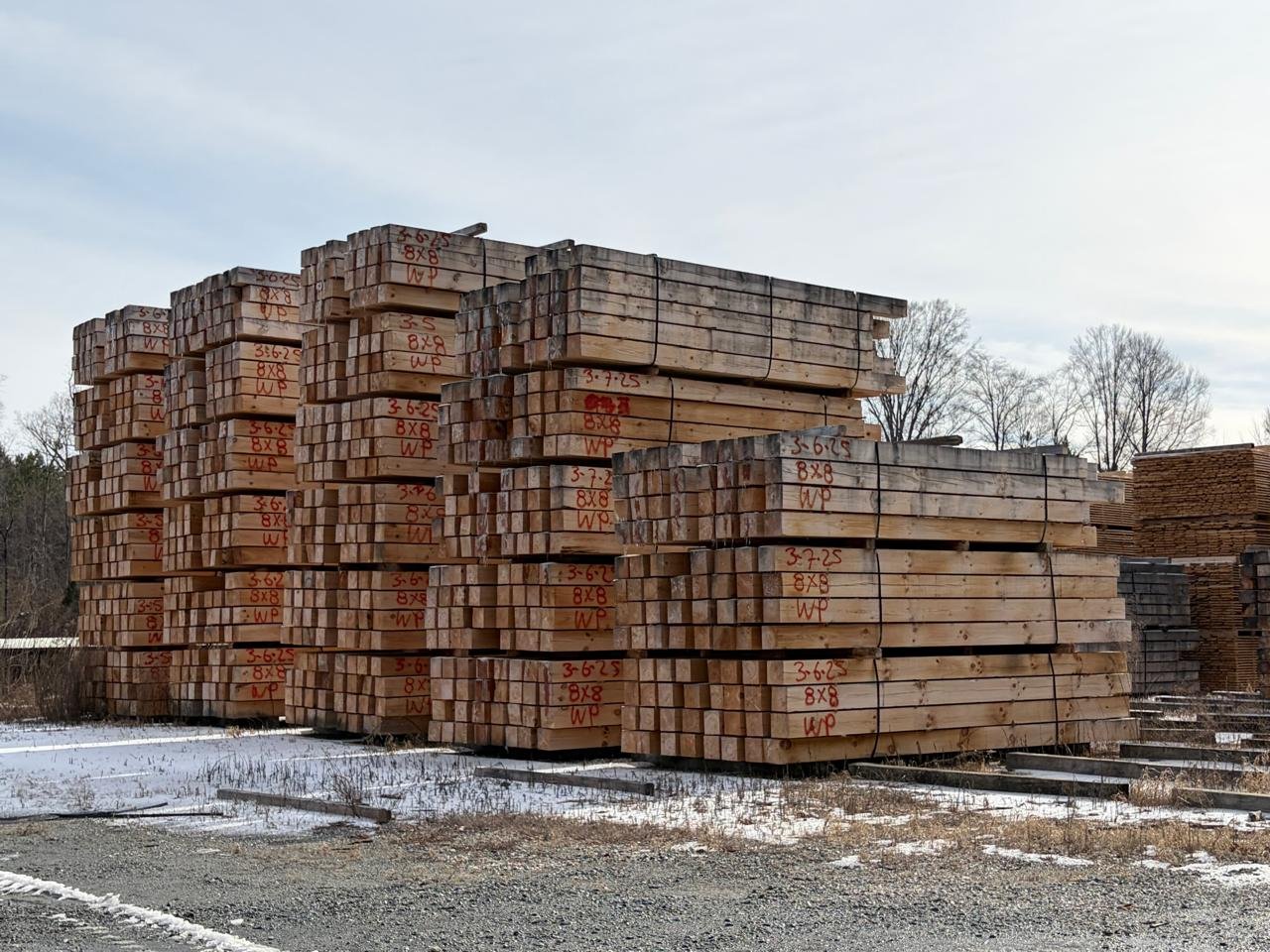 WhatsApp Image 2026-03-01 at 6.58.43 PM